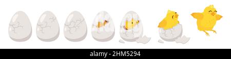 Hatching process. Vector illustration isolated on white Stock Vector