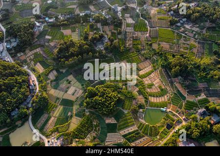 Chongqing metro named ginger production base Stock Photo