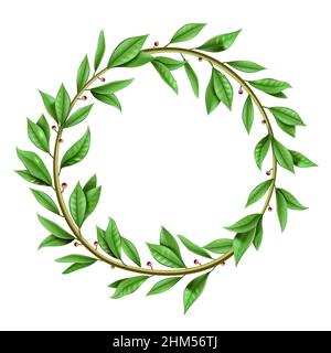 Vector graphics. Green antique realistic vintage winner laurel wreath. Isolated Template Stock Vector