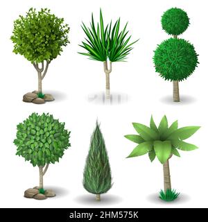Set of ornamental plants and trees for landscaping. Vector graphics. Boxwood, hibiscus and arborvitae tree. Stock Vector