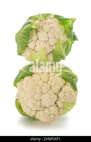 Fresh Cauliflowers  isolated on white background Stock Photo