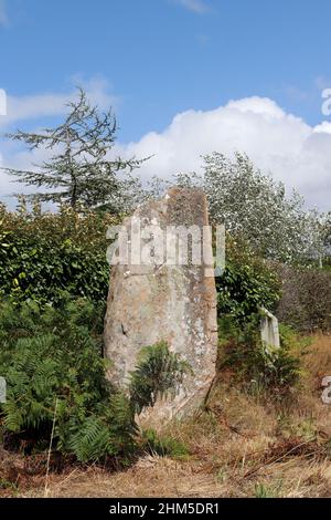 Menhir of Kerariou - megalithic monument near Trebeurden in Brittany, France Stock Photo