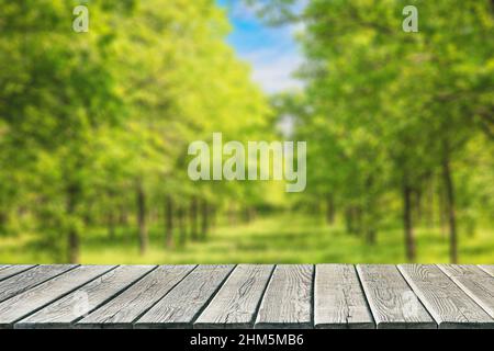 Empty wooden table or floor for product display against blurred garden alley Stock Photo