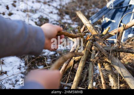Two woman hands on bright sunny day trying to kindles a fire in the forest using dry sticks to keep warm. Stock Photo