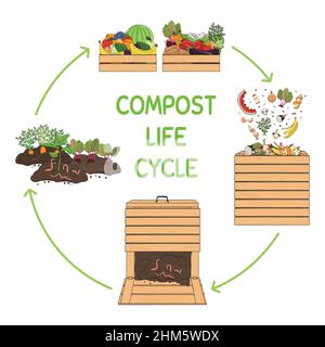 Compost life circle infographic. Composting process. Schema of ...