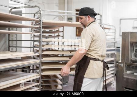 Baker placing tray with formed raw dough on rack trolley ready to bake in the oven. High quality photo Stock Photo