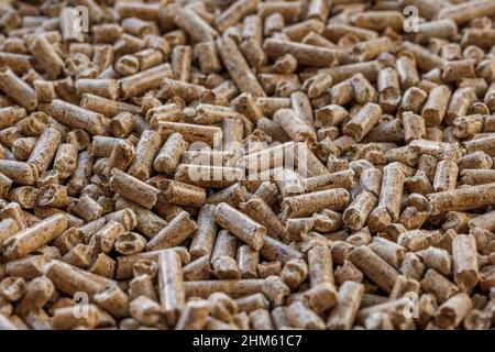 Compacted wooden sawdust pellets. Litter for pets and bio fuel, full frame closeup background with selective focus. Stock Photo