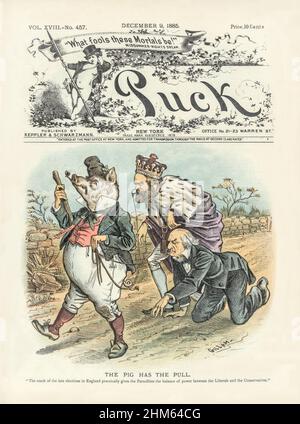 A late 19th century American Puck Magazine cover with a cartoon of an Irish pig labelled 'Parnell', carrying a shillelagh labelled 'Obstruction' walking down a road with leashes attached to a nose ring on the Marquess of 'Salisbury' and on the former British Prime Minister William E. Gladstone, crawling on his hands and knees. Stock Photo