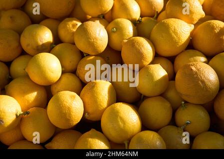 Full Frame of Fresh juicy lemons on the farmers market. Stock Photo