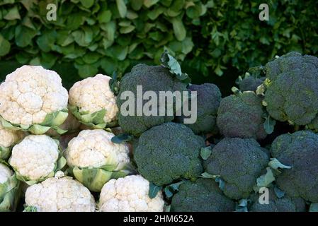 Full Frame Shot Of Cauliflower And Broccoli Stock Photo