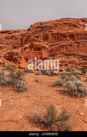 Overton, Nevada, USA - February 25, 2010: Valley of Fire. Landscape with skull like holes in wide red rock mountain behind dry desert floor with bushe Stock Photo