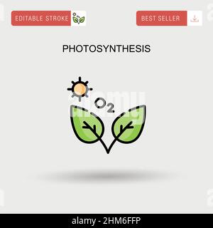 Photosynthesis Simple vector icon. Stock Vector