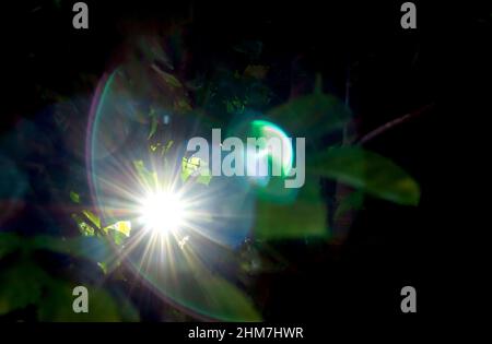 Abstract Natural Sun flare on the black Stock Photo