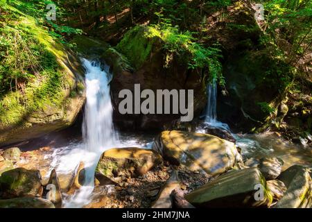 waterfall among the rocks in the forest. beautiful nature scenery in summer on a sunny day Stock Photo