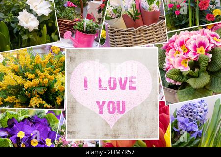 Collage of photos of different bouquets of primroses and text I LOVE YOU. Romantic background for greeting greeting for Valentine's Day, Mother's Day, Stock Photo