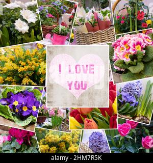 Collage of photos of different bouquets of primroses and text I LOVE YOU. Romantic background for greeting greeting for Valentine's Day, Mother's Day, Stock Photo