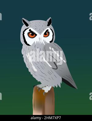 An illustration of a white faced owl. Blue green gradient background. The bird is perched on a pole and he turns his head towards the viewer. Stock Vector