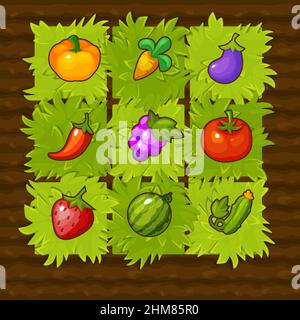 Pumpkin with leaves, vegetable garden and beds, linear graphic design ...