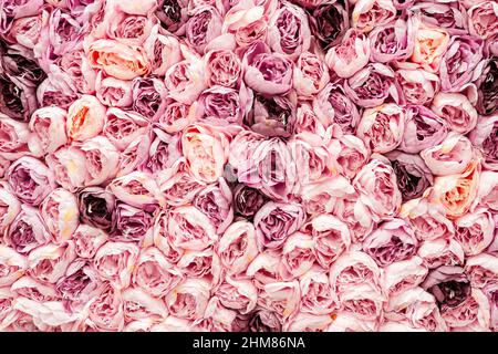 Floral pattern as decoration of interior with many pink flowers on a wall Stock Photo