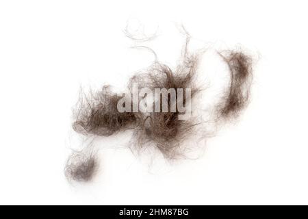 Close-up of heap cat fur isolated on white, top view Stock Photo