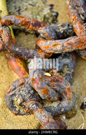 Rusty Chain on the beach still connected Stock Photo