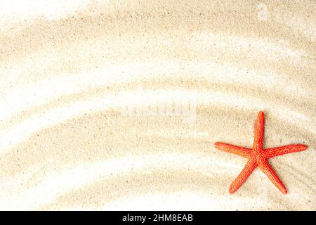 Red starfish on sand. Creative sandy beach vacation background concept. Stock Photo