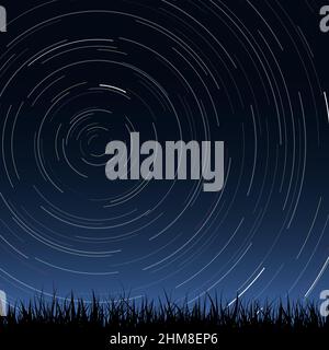 Night sky with star trails and grass Stock Vector