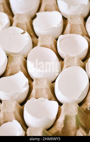 Cracked egg shells in a carton container. Close up. Stock Photo