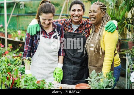 Multiracial women working together inside nursery greenhouse - Green market concept - Main focus on latin woman face Stock Photo