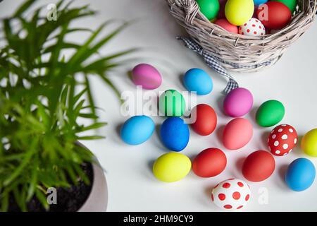 Easter Sunday or Easter Day (Pascha). Colorful Easter Eggs , basket, houseplant on white background. Painted chicken eggs scattered on table, selectiv Stock Photo