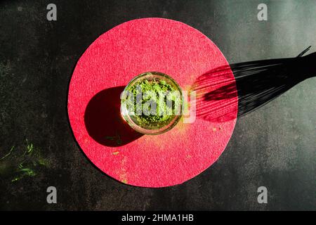 Top view of glass bowl with dried matcha tea on round bright circle on black background with shadow of bamboo whisk Stock Photo