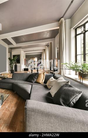 Interior of modern room with sofa and houseplants Stock Photo - Alamy