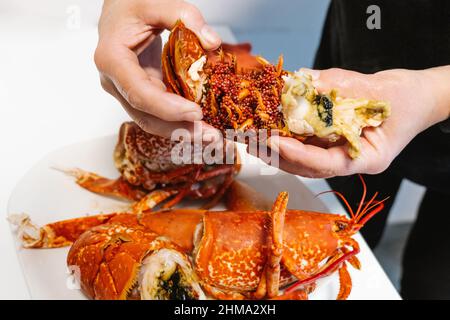 Crop anonymous person cracking tasty cooked red lobster with meat with hands on white table in light kitchen at home Stock Photo