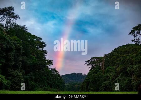 Bright rainbow shining on overcast cloudy sky over green forest covered with lush tropical plants in Costa Rica Stock Photo