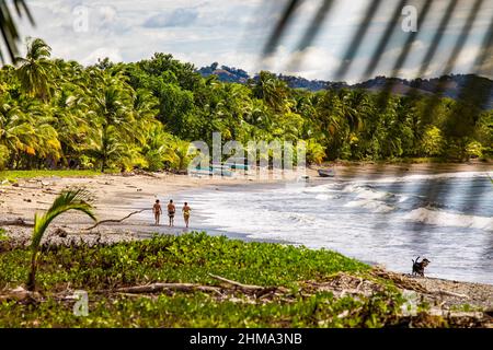 Back view of distant anonymous tourists walking on sandy coast near waving sea and exotic green trees in tropical resort Stock Photo