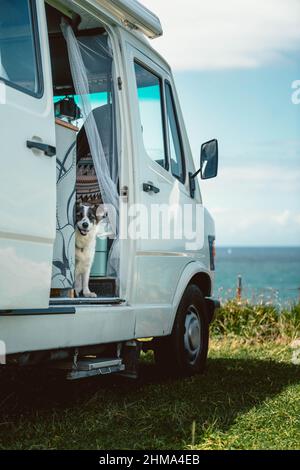 Border Collie dog sitting in camper van parked on hilly coast of blue sea during summer road trip in Cantabria Stock Photo