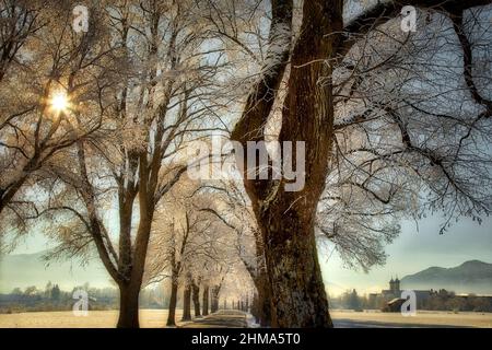 DE - BAVARIA: On the road to Benediktbeuern in the Loisach Moor  (HDR-Photography) Stock Photo