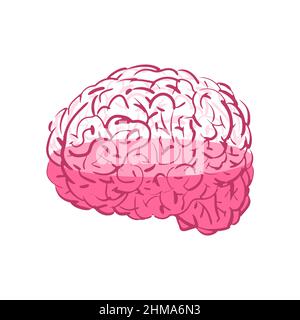 Brain loading. vessel of brain is filled with fluid. Knowledge filling concept Stock Vector