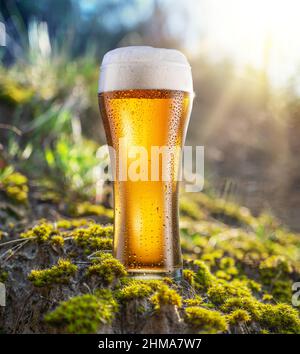 Cold glass of beer with white foam and gas bubbles inside. Nature background. Stock Photo