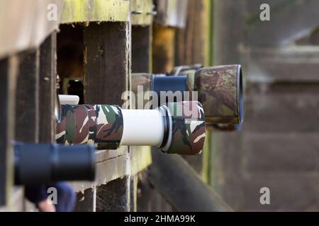 Camera telephoto lenses protruding from bird hide in several sizes and colours colors some with camouflage covers. Long lenses to zoom in on subject. Stock Photo