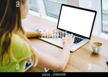 Female freelancer working on computer in cafe Stock Photo