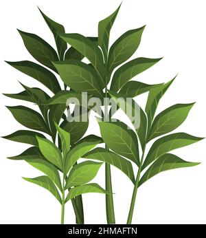 Realistic green bushes on white background - Vector illustration Stock Vector