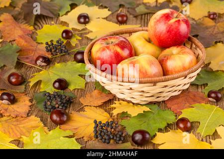 Apples in a wicker basket on wooden table with autumn leaves and chestnuts Stock Photo