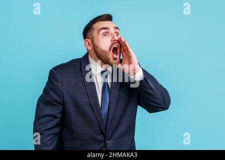 Profile portrait of handsome crazy businessman with beard wearing official style suit loudly screaming holding hand near widely opened mouth. Indoor studio shot isolated on blue background. Stock Photo