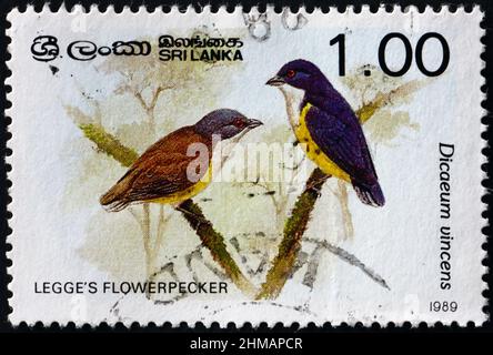 SRI LANKA - CIRCA 1987: Postage stamp printed in Sri Lanka, shows a ...