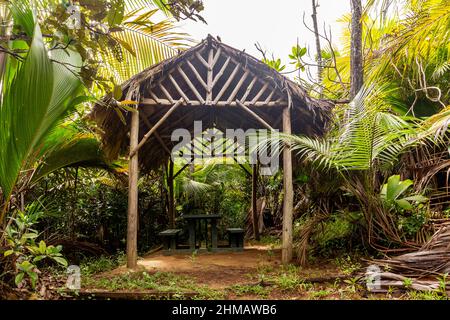 Wooden shelter with thatched roof made of palm leaves in tropical rainforest on Glacis Noire Nature Trail, Praslin Island, Seychelles. Stock Photo