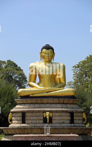 Golden Buddha at Viharamahadevi Park in Sri Lanka Stock Photo