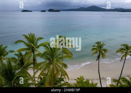 Aerial view of a plam beach at Isla Coiba Stock Photo