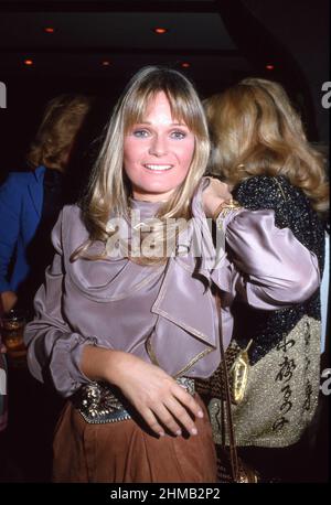 Valerie Perrine Circa 1980's Credit: Ralph Dominguez/MediaPunch Stock ...