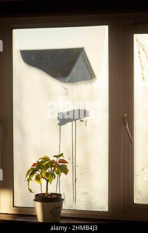 A  hole wiped in a window covered in condensation. Stock Photo